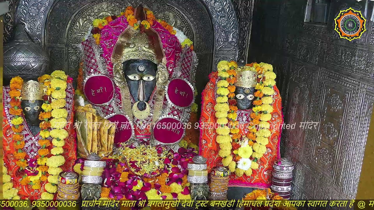 Maa Baglamukhi Official_Live Darshan_mahant shree Rajat giri ji_