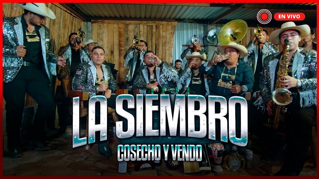 La Siembro Cosecho y Vendo - Los Pajaritos de Tacupa