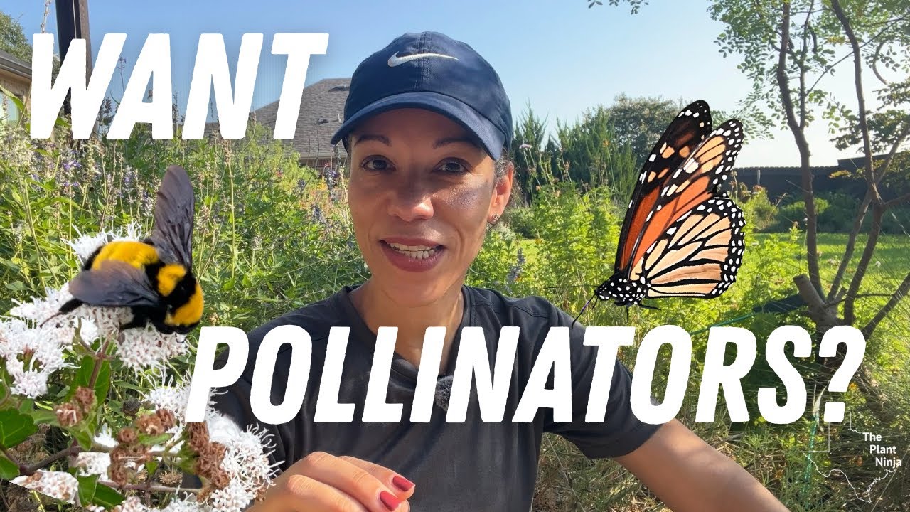 8 TEXAS Native Plants That Bring Butterflies, Birds, and Bees to Your Garden!