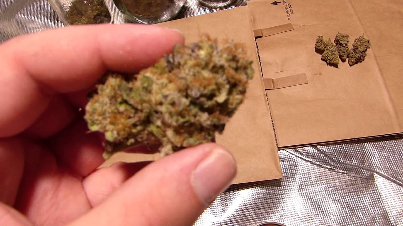 SPECTRUM KING LED FINAL HARVEST VIDEO 900 WATTS TOTAL