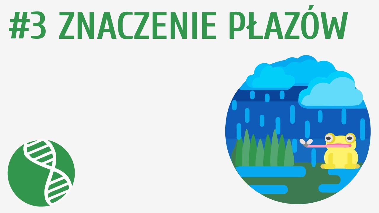 Znaczenie płaz&oacute;w #3 [ Płazy ]