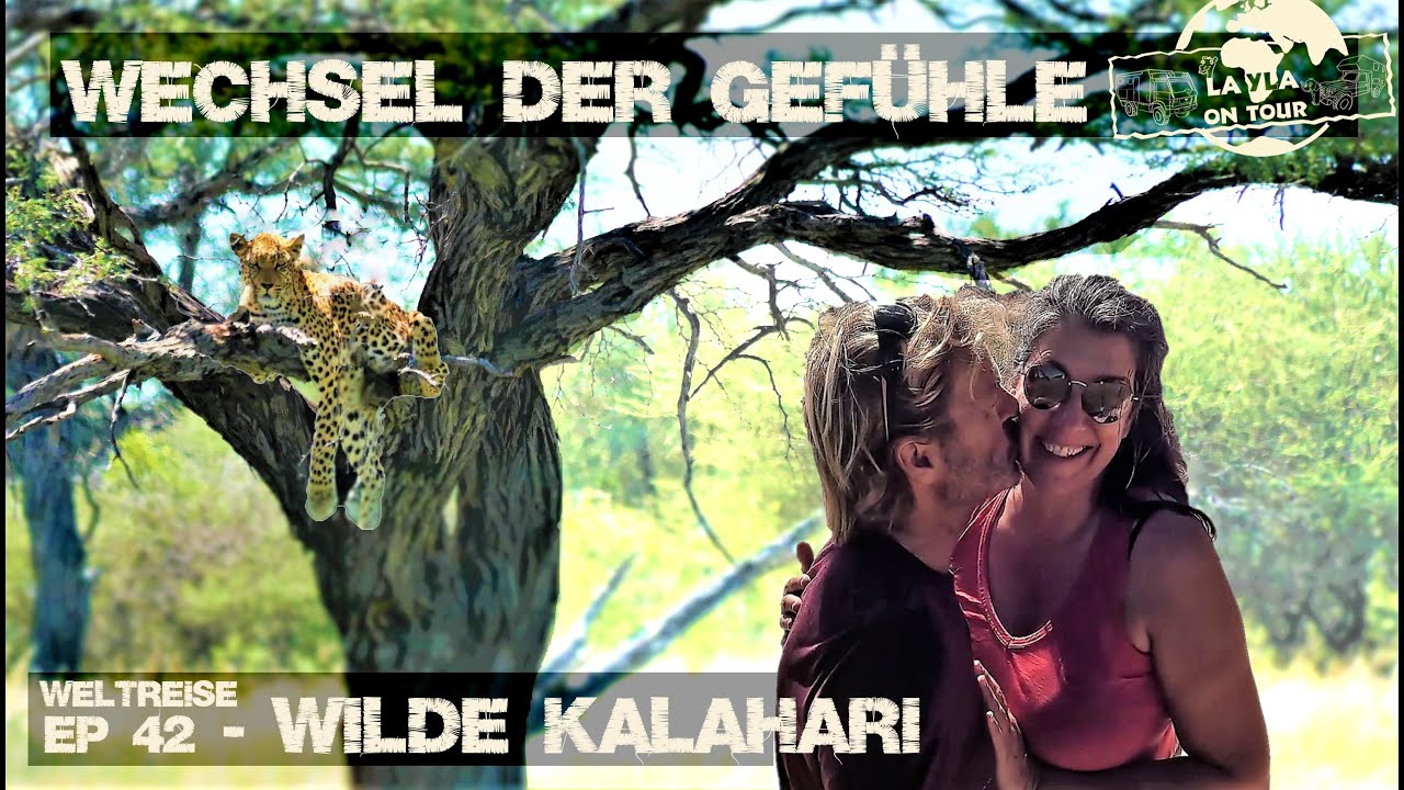 #42 -  SPANNENDE Tracks vs ATEMBERAUBENDE Tierwelt | Kalahari – Mabuasehube - Expeditionsmobil.