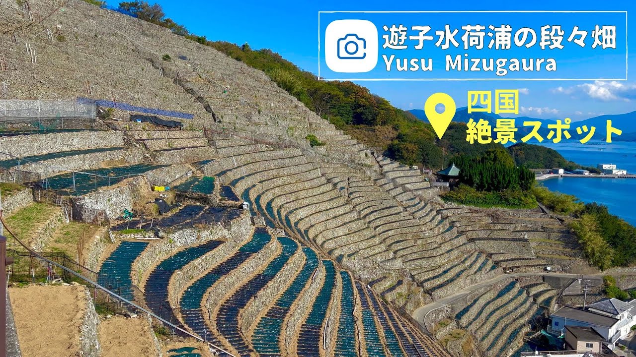 まるで天に続く階段！遊子水荷浦の段々畑｜愛媛県宇和島市遊子｜