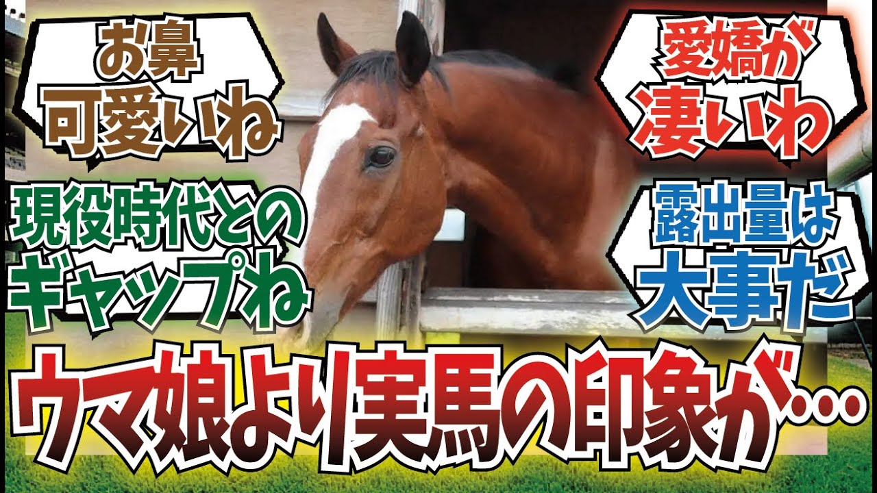 「ドットさんて凄いよな」に対するみんなの反応集