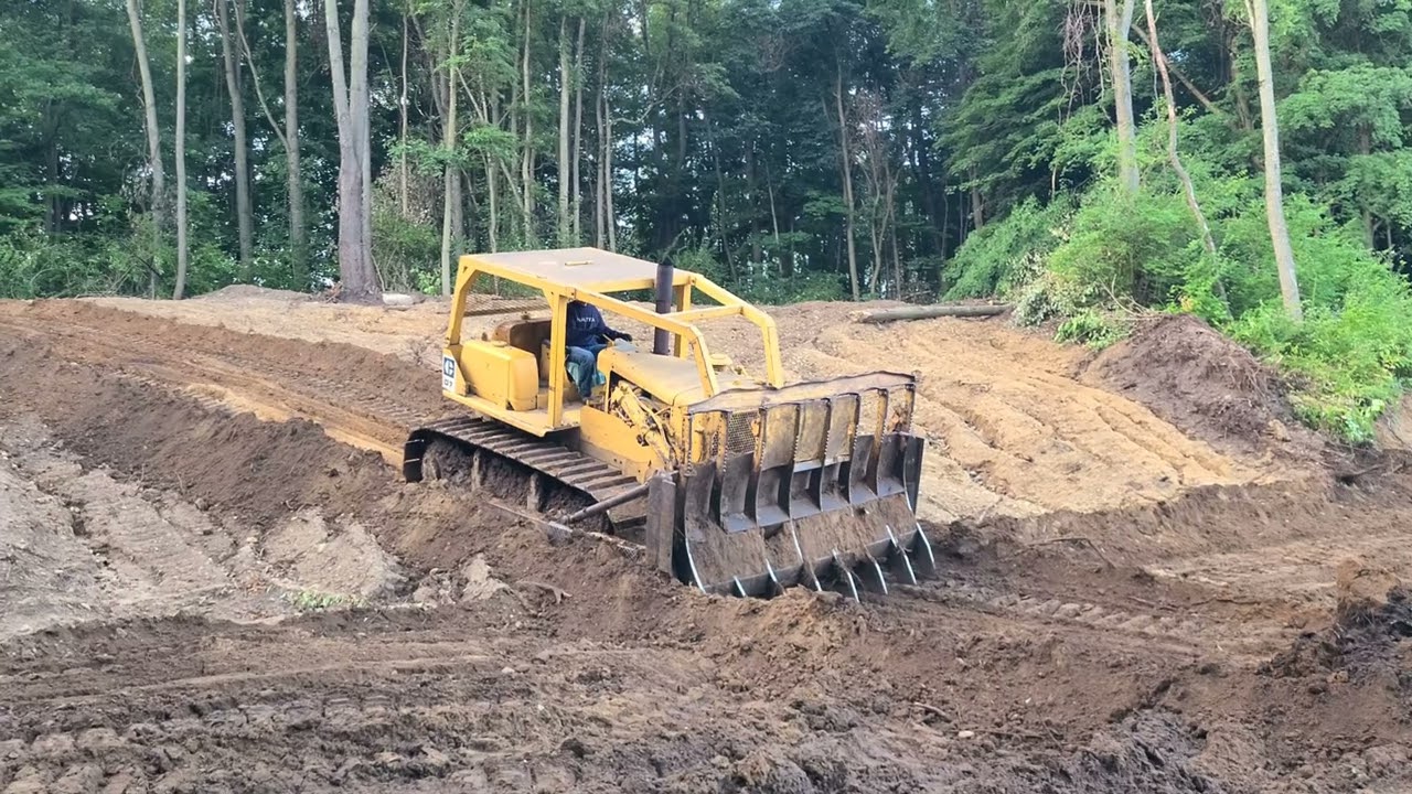 Cat D7 Play Time