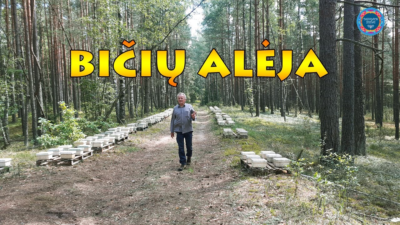 Bičių alėja