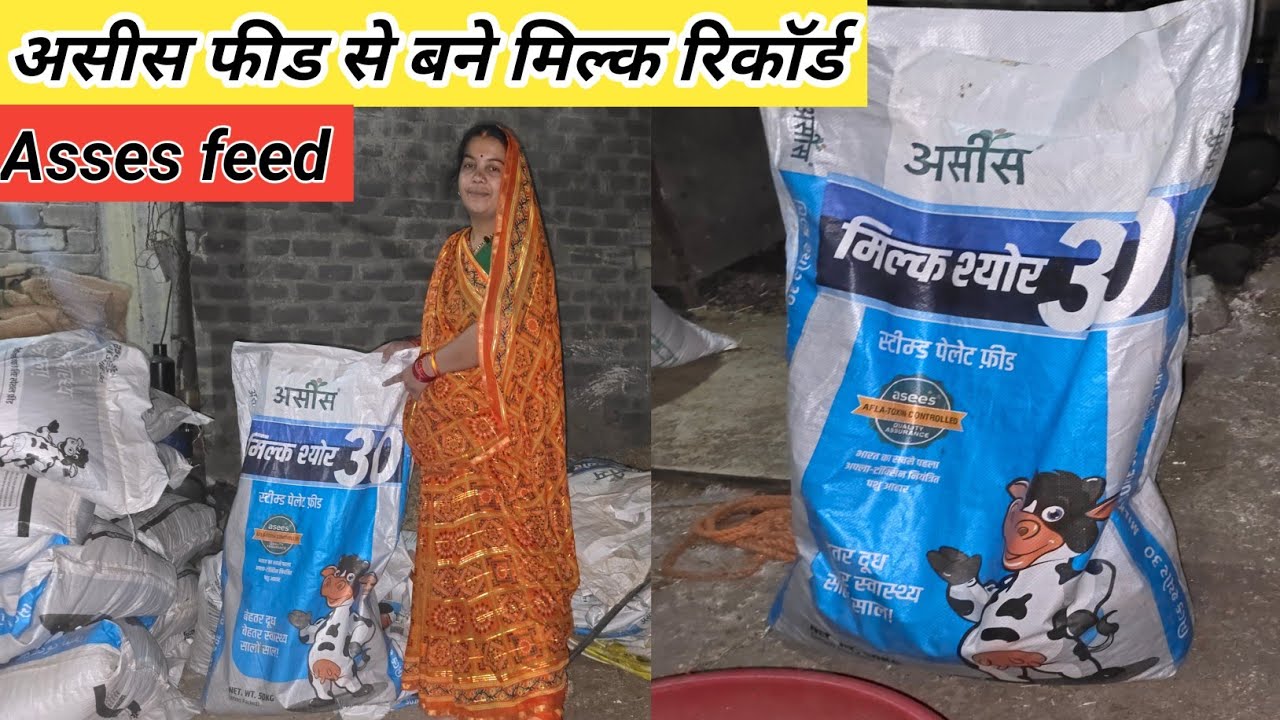 Asees Feed से डेरी फार्म से बना मिल्क में रिकॉर्ड ll ganesh dairy farm ll asees feed high milk ll