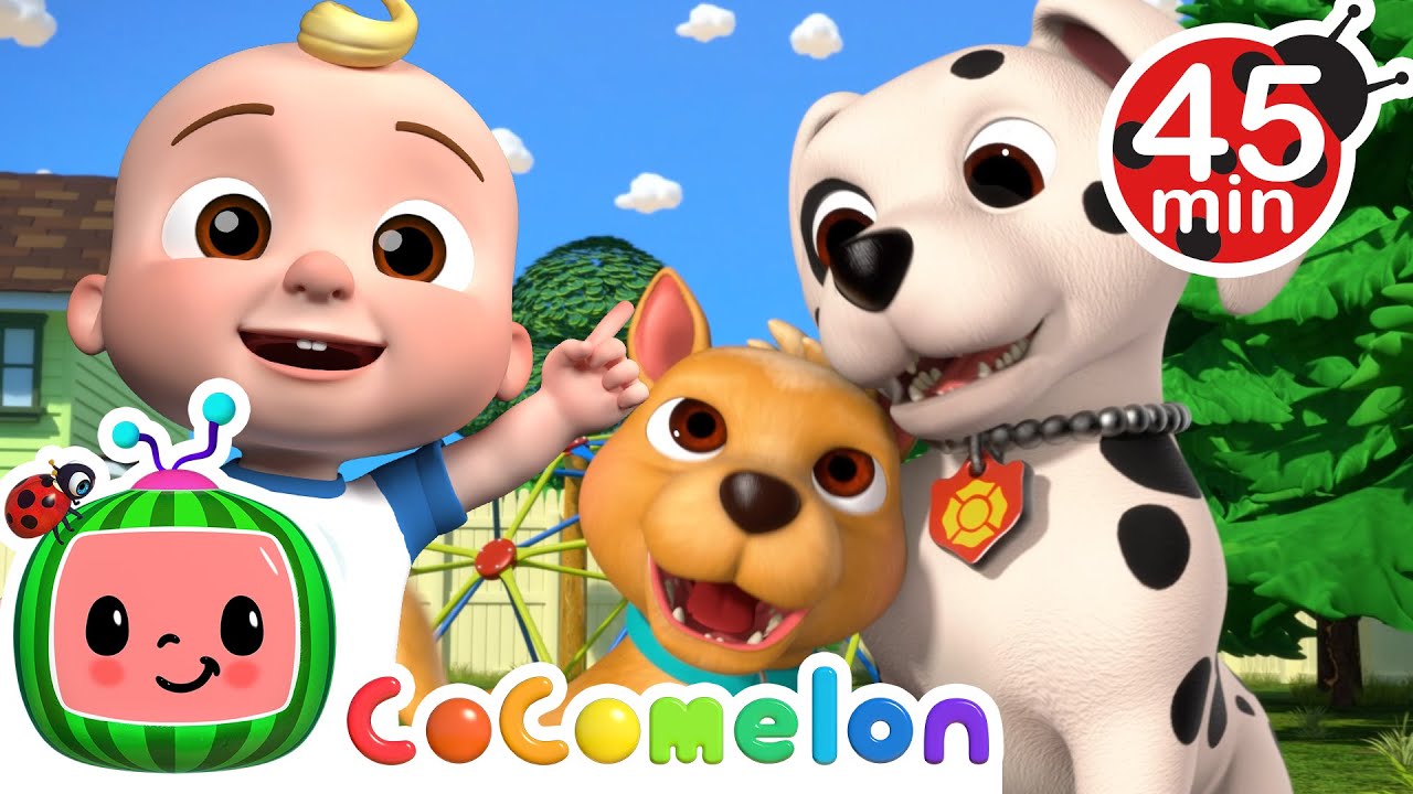 AWW!🥹Cute Puppies Play Together🐶| CoComelon | Animals for Kids | Sing Along | Learn about Animals