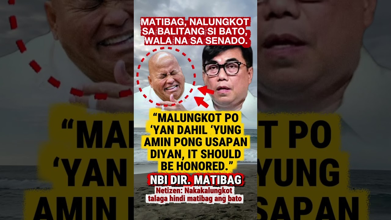 Matibag, nalungkot sa balitang wala na si Bato sa Senado