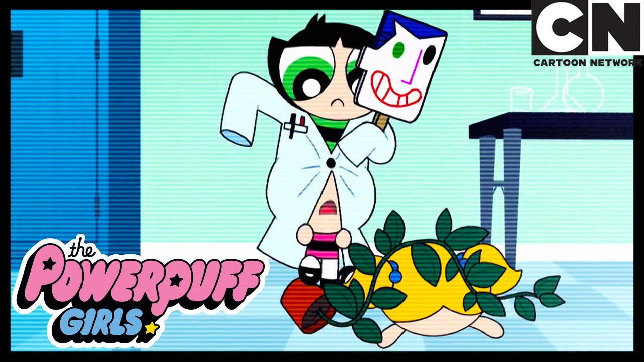 Leve Seus Filhos Para O Fim Do Mundo | As Meninas Superpoderosas | Cartoon Network 🇧🇷