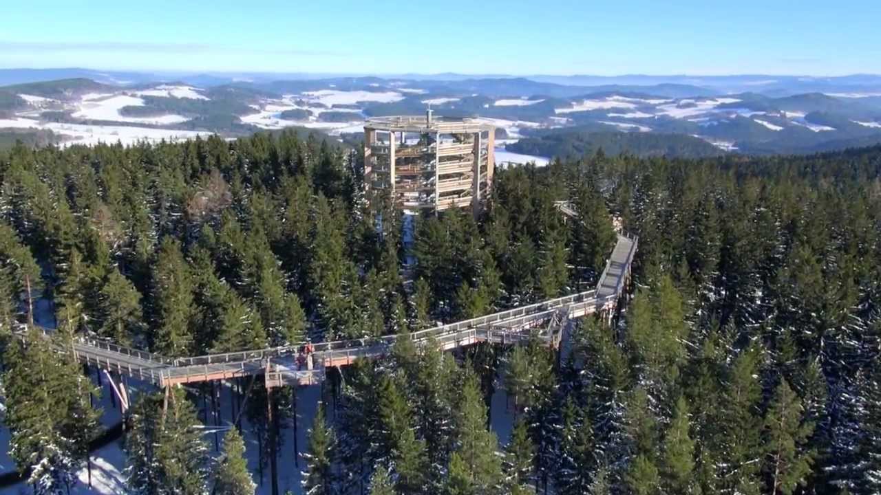 Stezka korunami stromů Lipno v zimě