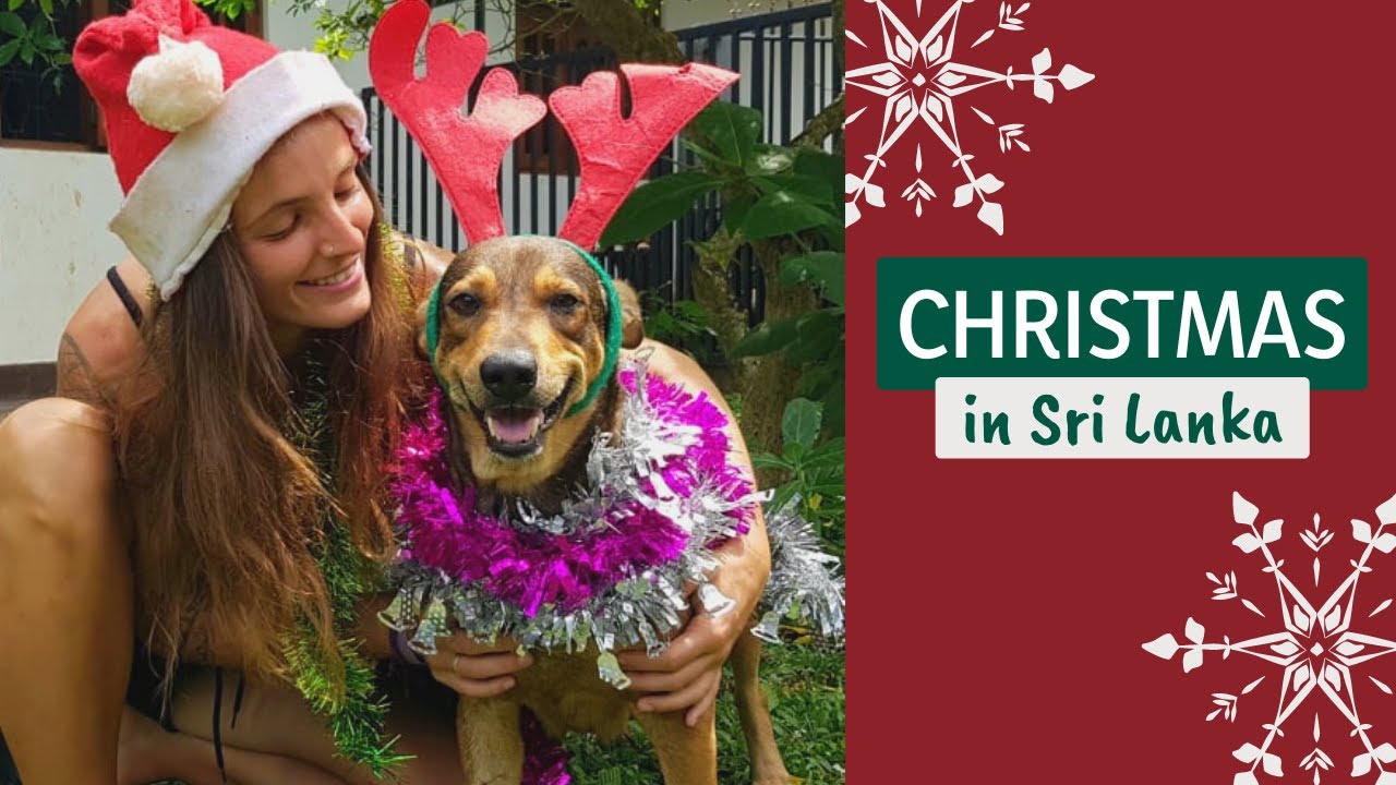 Christmas in SRI LANKA 🇱🇰🎄