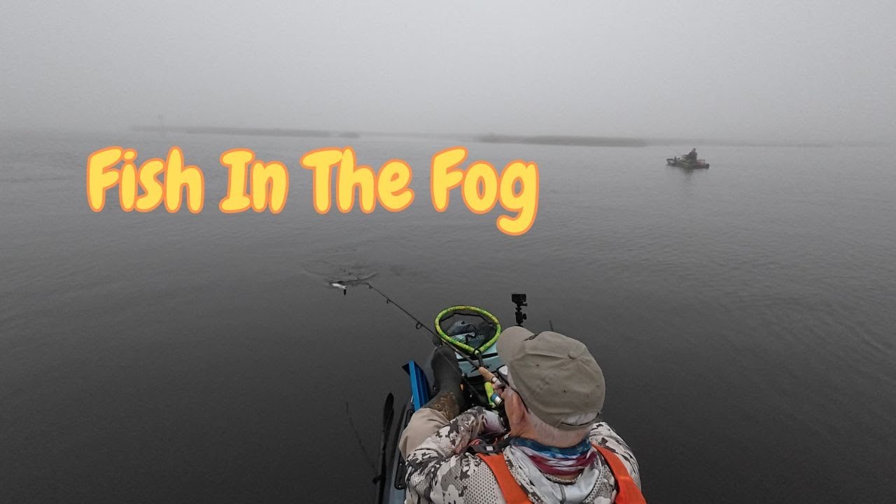 Fish In The Fog | Sisters Creek