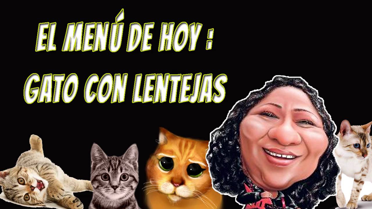 La t&iacute;a Portola presenta su riqu&iacute;simo platillo  'Gato con lentejas'