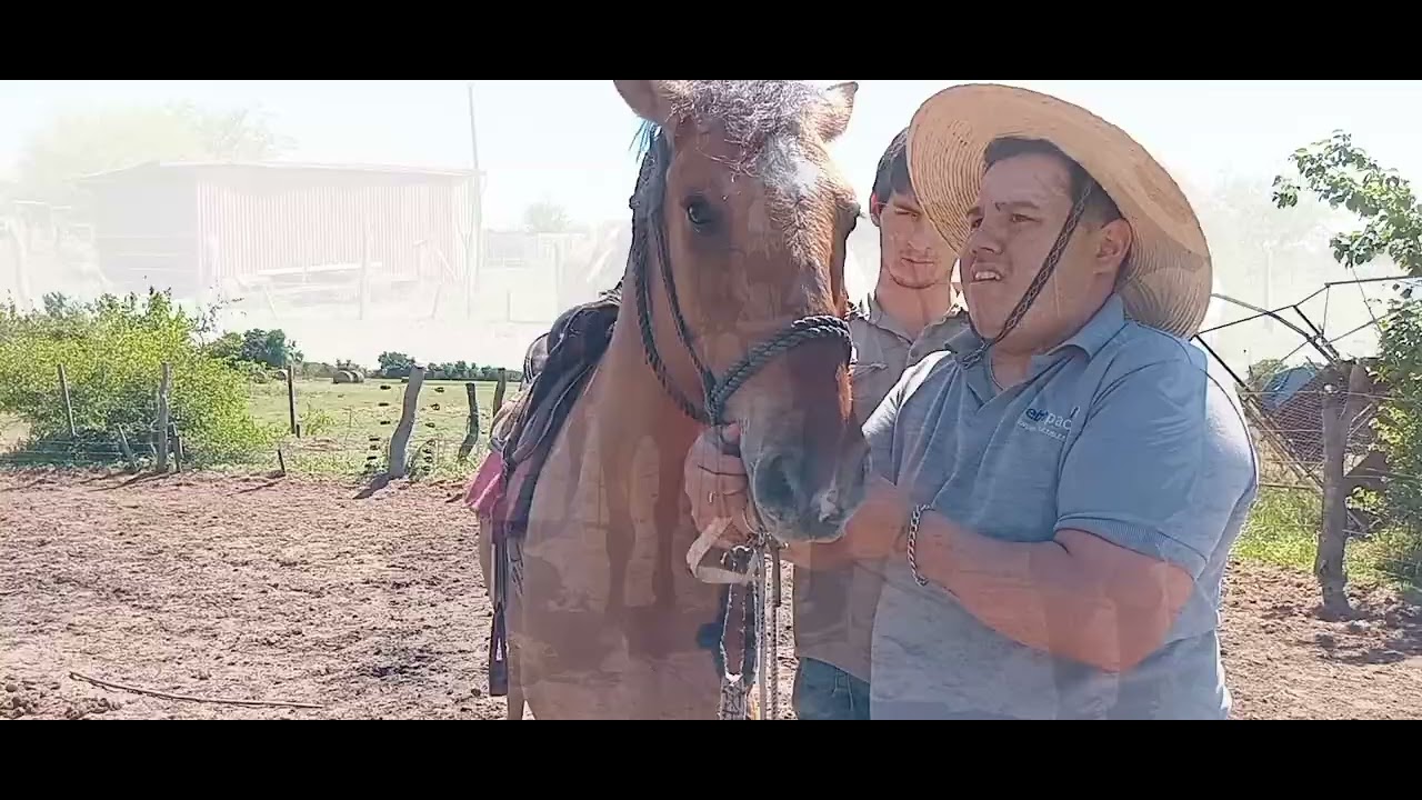 De a poquito se va entregando el gatiado