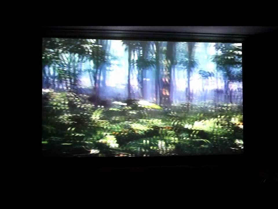 Benq W600