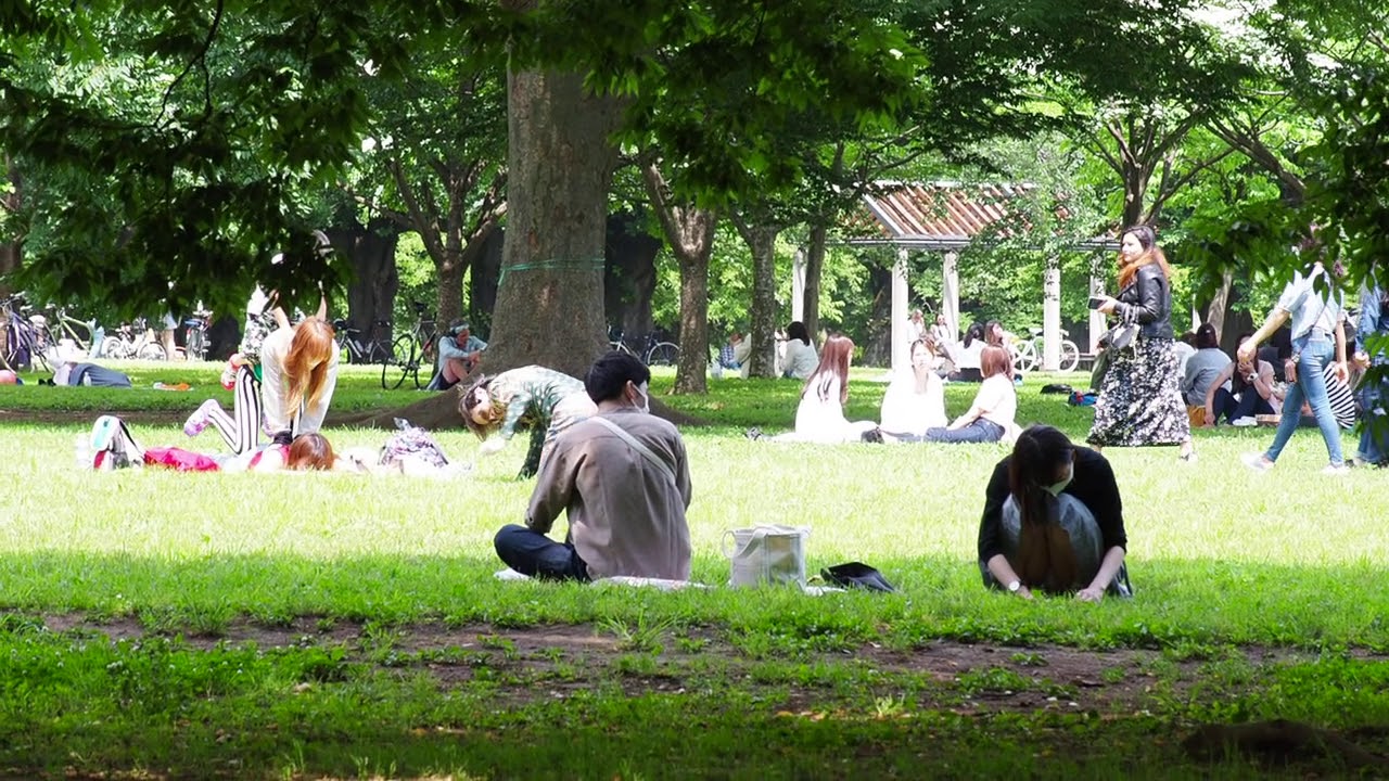 のんびり散歩「新しい日常」　東京は第一ステップ　代々木公園　2020/5/28 ４