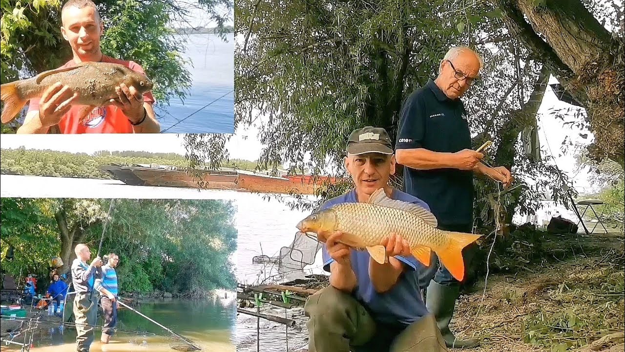 I konačno, Dunav, plaža, kampovanjee..