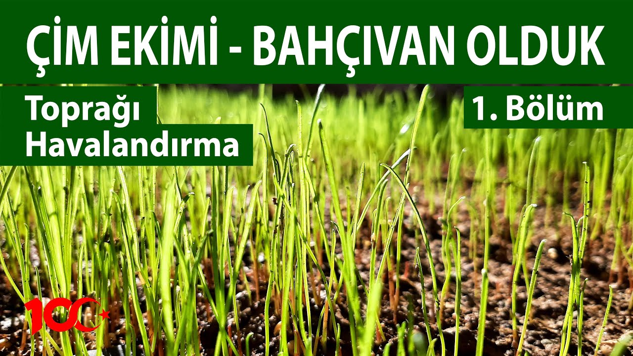 Çim Ekimi Nasıl Yapılır | Bahçıvan Olduk | 1. Bölüm | Toprağı havalandırma | Püf noktalar | 2023