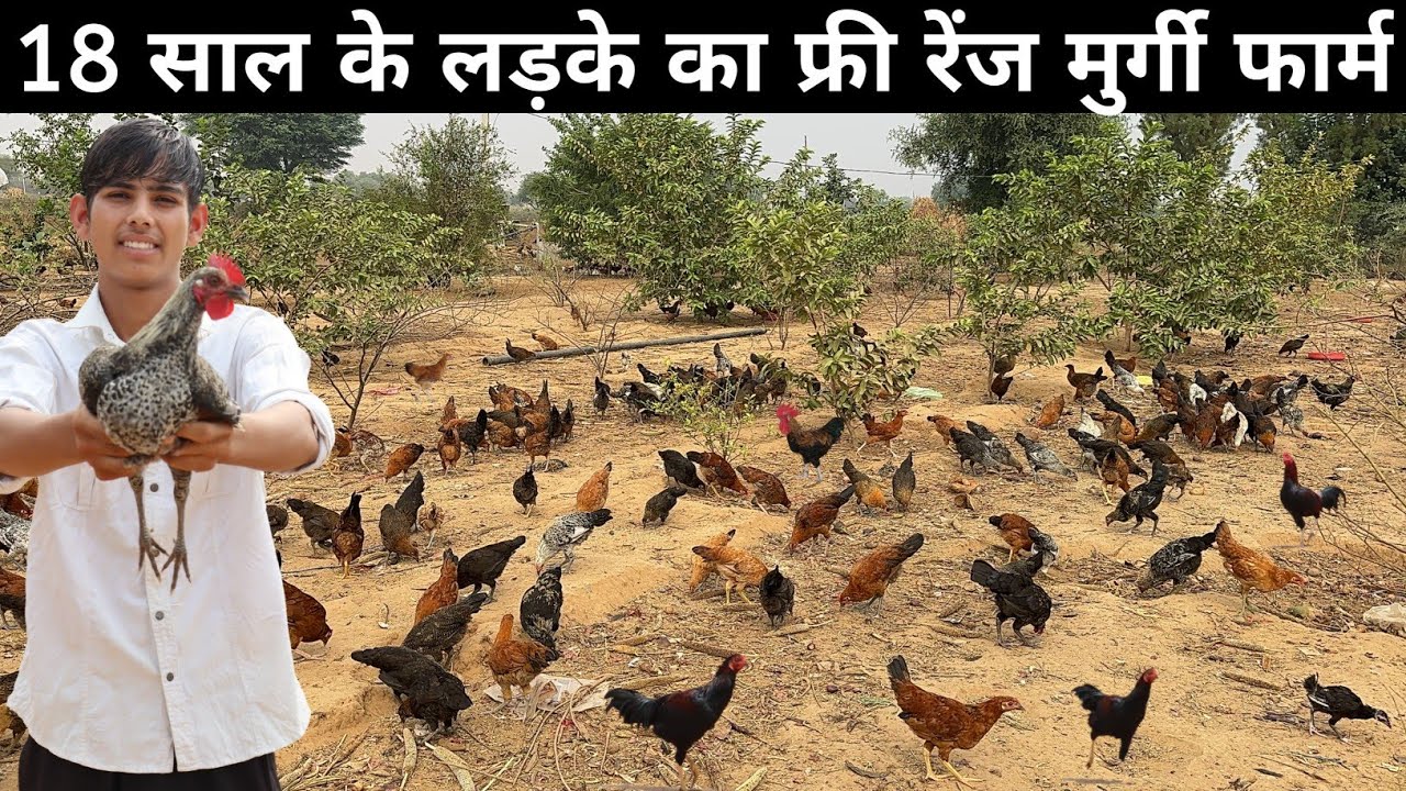 18 साल के युवा का Free Range Desi Poultry Farm | Free Range Desi Murgi Palan | Poultry Farming