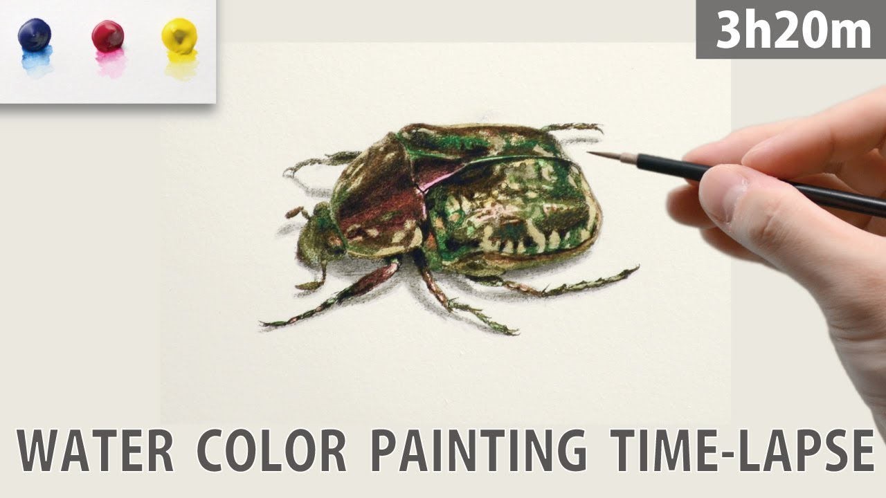 [水彩画]リアルな甲虫を三原色を使って描くメイキング | 描き方 | Watercolor Painting | -No.43