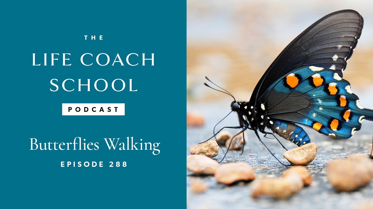 Butterflies Walking | The Life Coach School Podcast with Brooke Castillo Ep #288