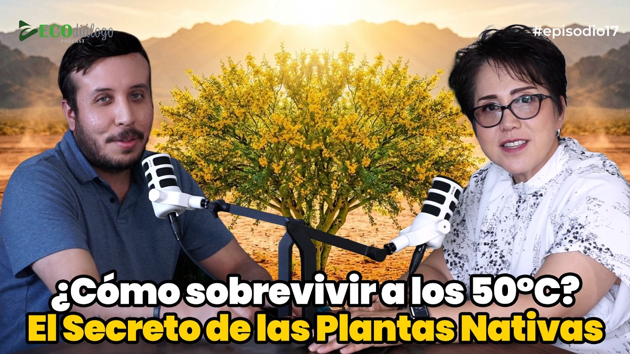 ¿Cómo sobrevivir a los 50°C?: El Secreto de las Plantas Nativas | Adriana Arias | #17 EcoDiálogo