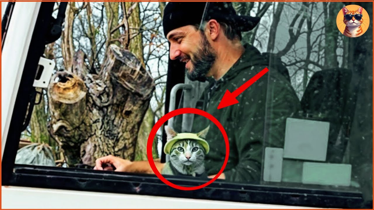 Мужчина говорил, что кошек заводить нельзя, но крошечный котенок стал его лучшим другом на всю жи...