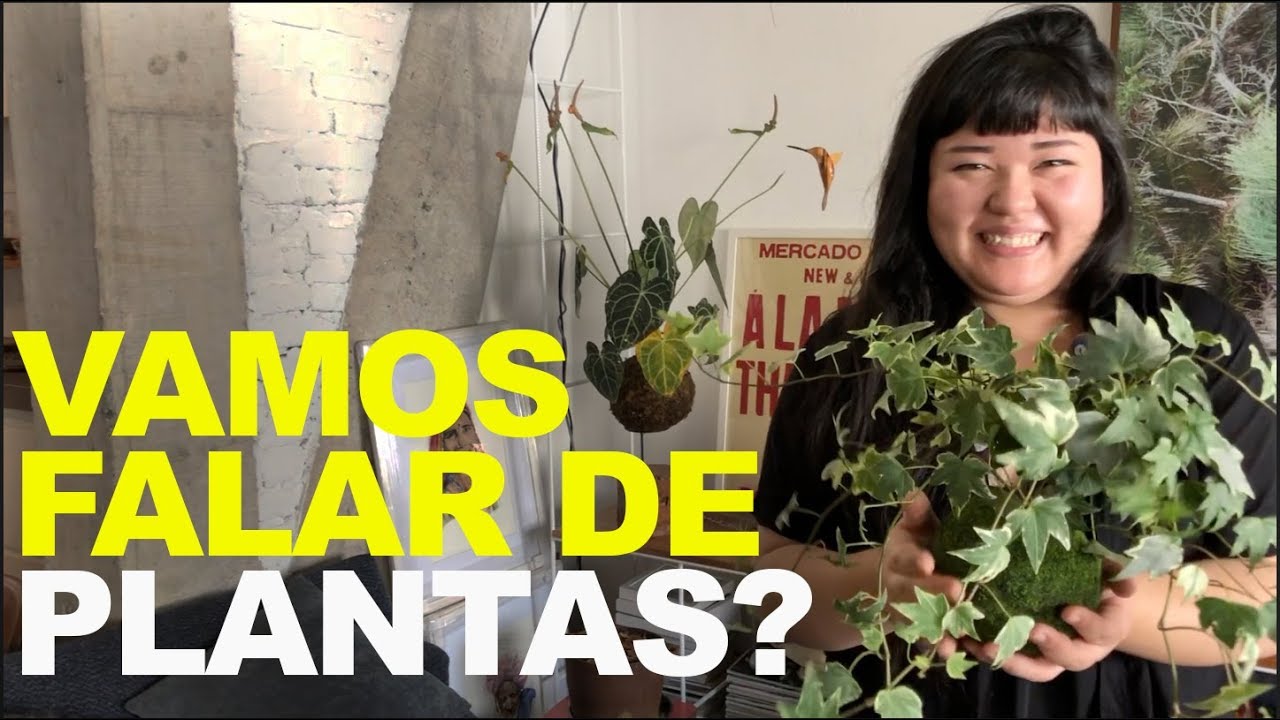 PLANTAS EM APARTAMENTO -  KOKEDAMAS COMO FAZER E COMO CUIDAR