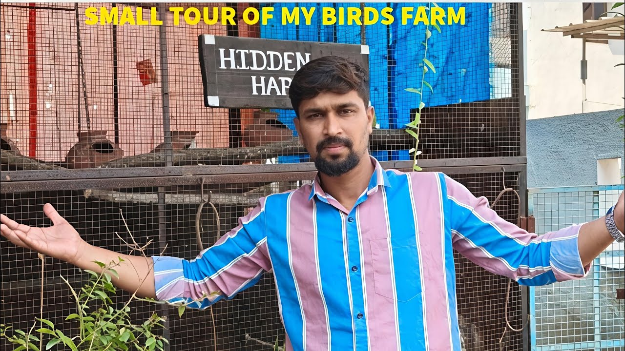 SMALL BRIEFING VIDEO OF BIRDS @PARROTDIPANKAR 