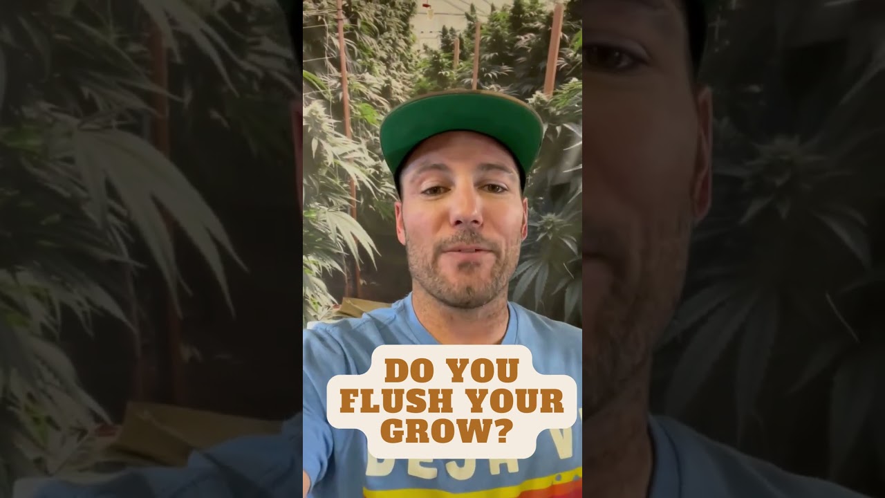 Do You Flush Your Grow In Living Soil?❔