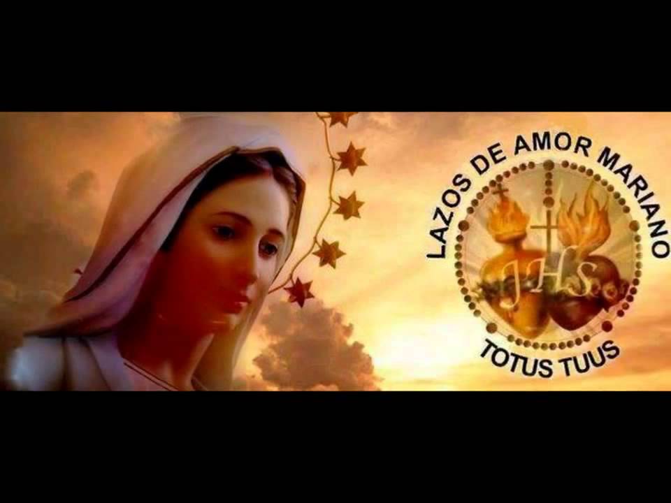 DISPUESTO A LA BATALLA LAZOS DE AMOR MARIANO