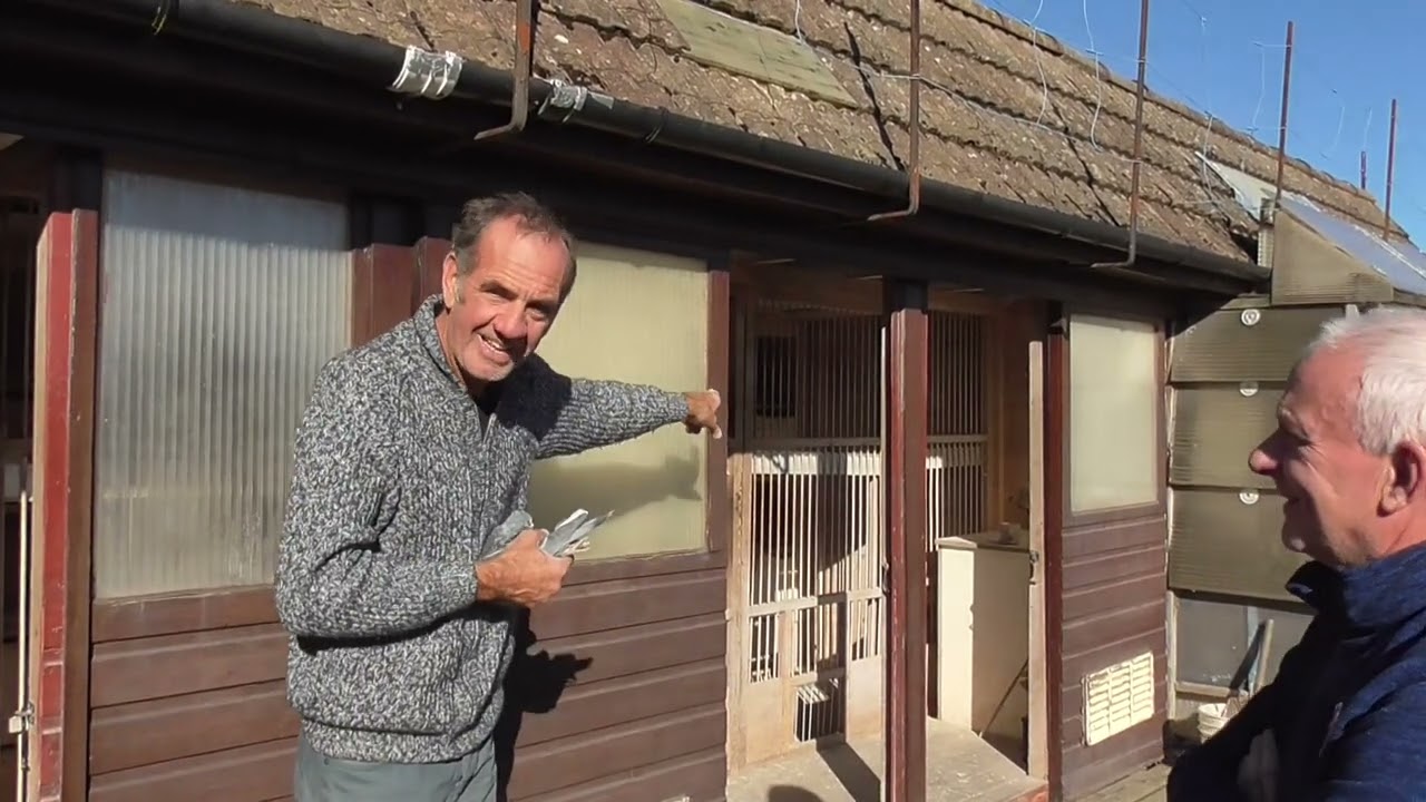 Taste of the video coming soon, one of the very best in the land... WADE BROS, West Auckland.....