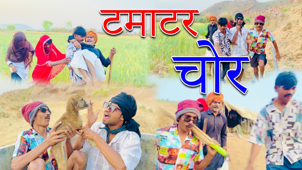 टमाटर चोर |tamatar chor |Jhagdu setu full comedy video |