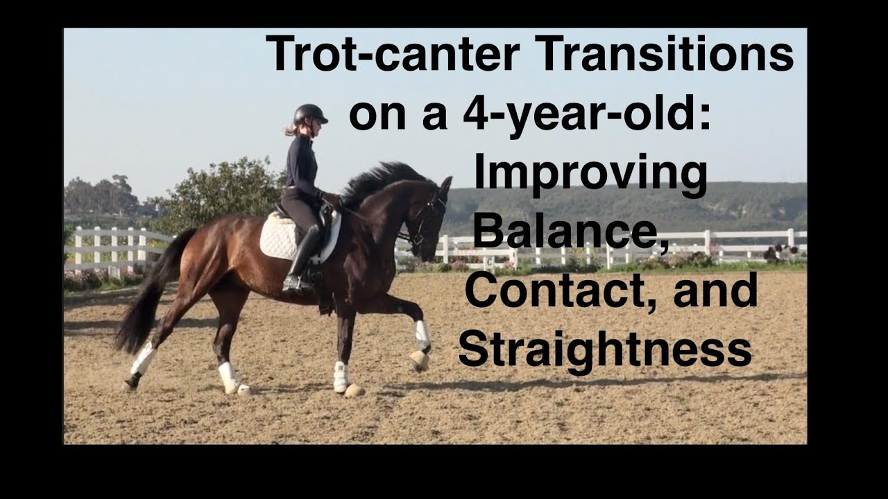 Trot-canter Transitions to Improve Balance, Straightness and Connection on a 4-year-old!