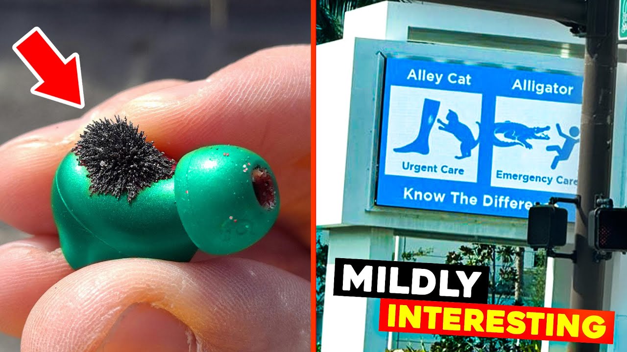 Mildly Interesting Photos #3