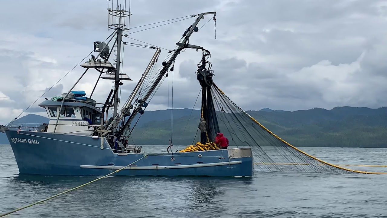 Alaska purse seining