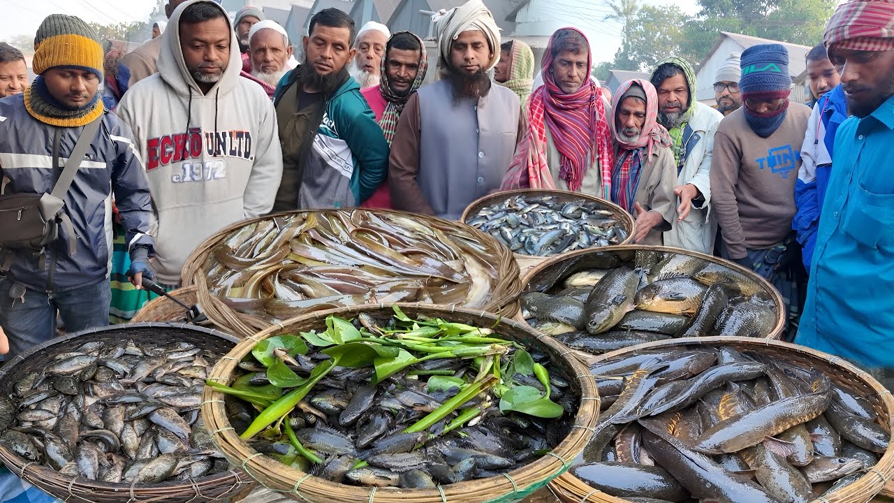 এই বাজারেই সম্ভব আড়িয়াল বিলের নানান ধরনের মাছ! Village fish market dohar dobli bazar | Dohar Fish