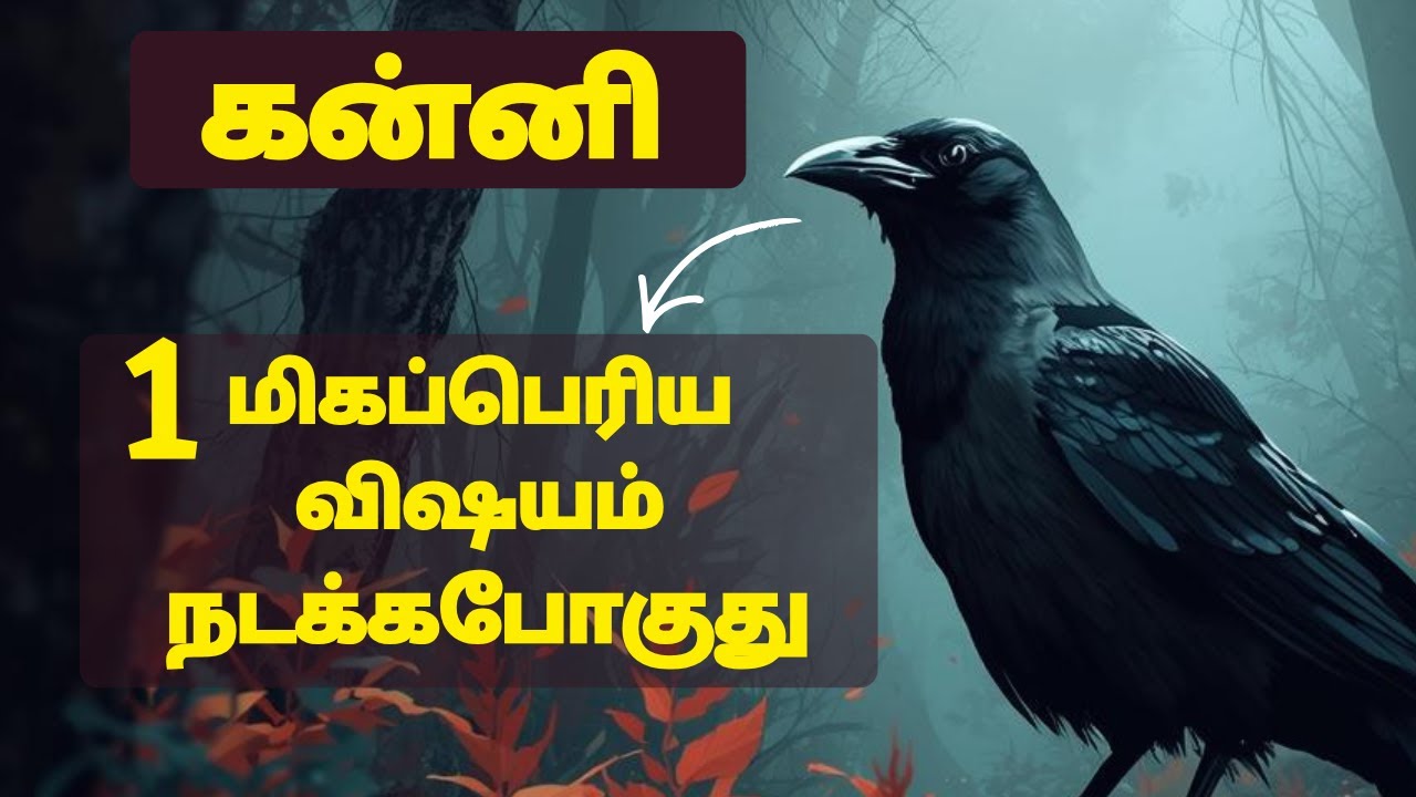 kanni 1 மிகப்பெரிய விஷயம் நடக்க போகுது | #kanni #kannirasi #virgo #astrology #rasipalan