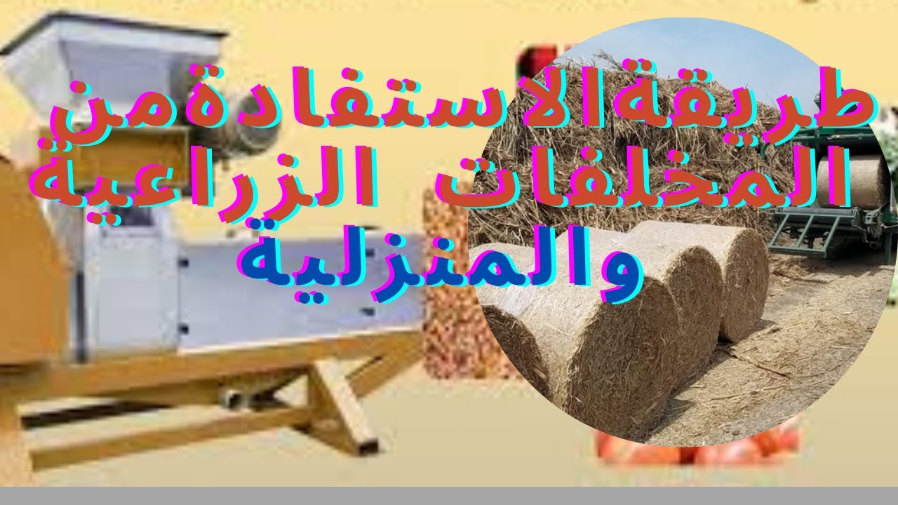 مجال إنتاج الأعلاف غير التقليدية