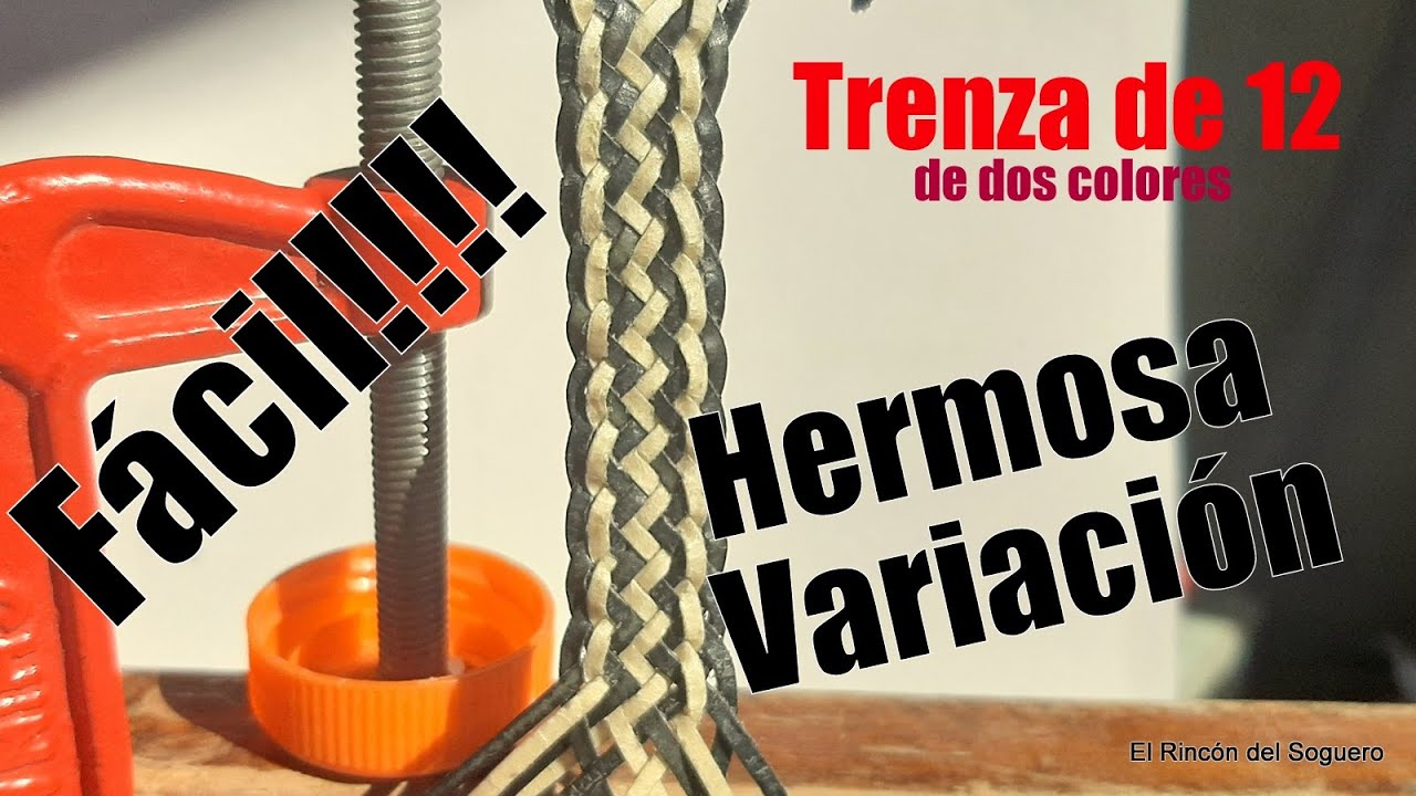 Hermosa Trenza de 12 de 2 colores 
