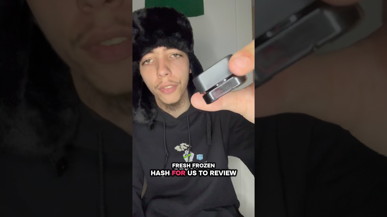 Watermelon Fresh Frozen Hash Review🍉🍫