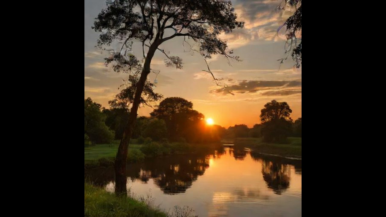 Embrace Solitude