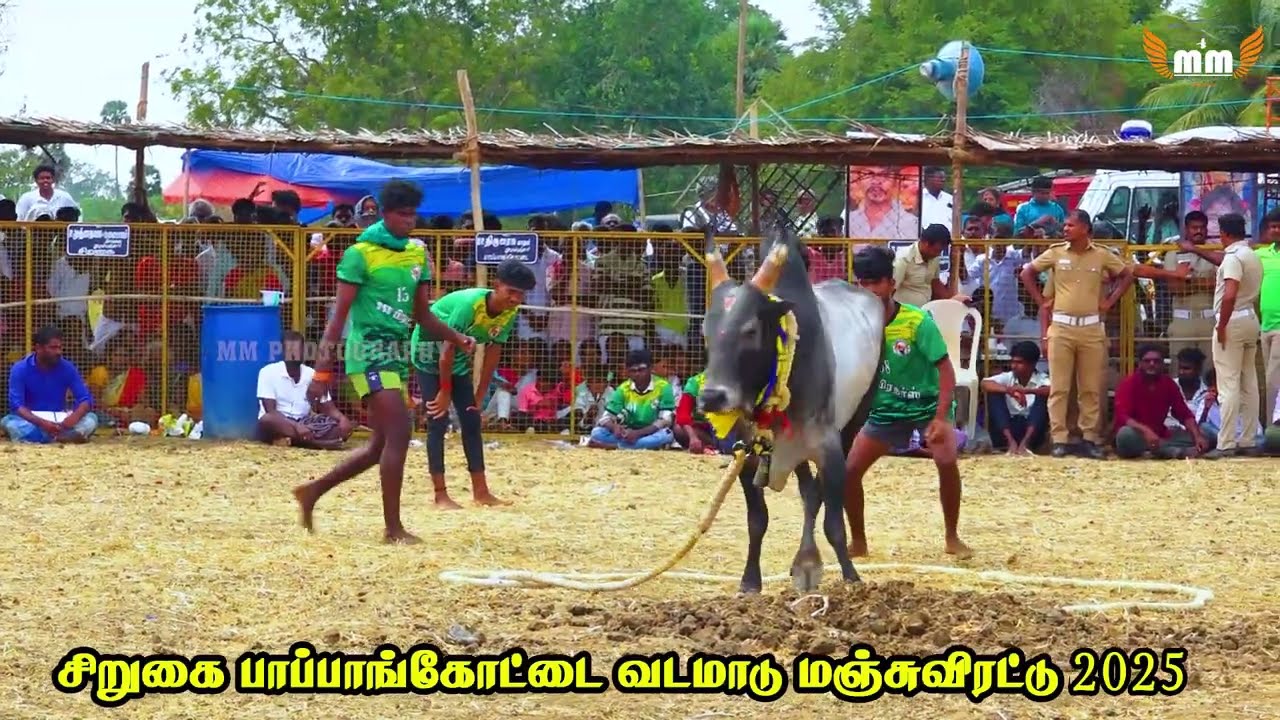 கடைசி ஒரே நிமிடத்தி காளையை அடக்கிய சிறப்பான காளையர்கள் சிறப்பான காளை