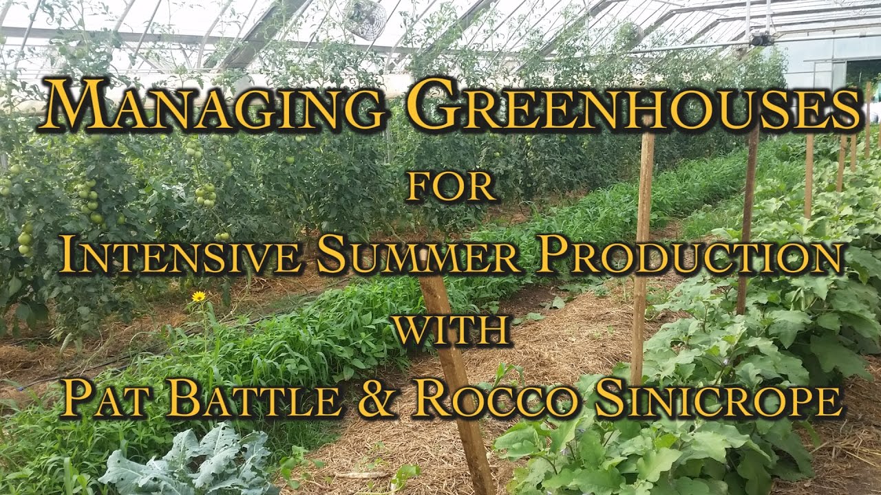 Managing Greenhouses for Intensive Summer Production with Pat Battle & Rocco Sinicrope