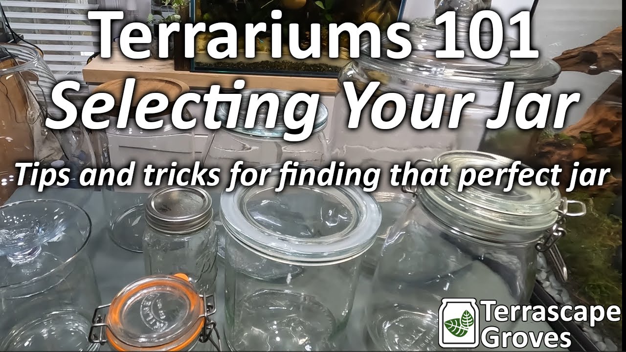Terrariums 101 - Selecting Your Jar