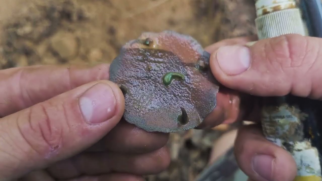 Un nou vlog la Detecție in pădure cu 2 obiecte intresante 