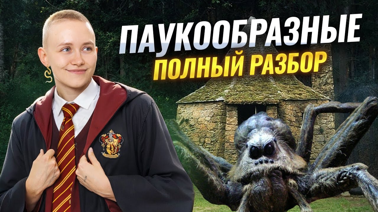 Класс Паукообразные | Полный разбор для ОГЭ по биологии | Умскул