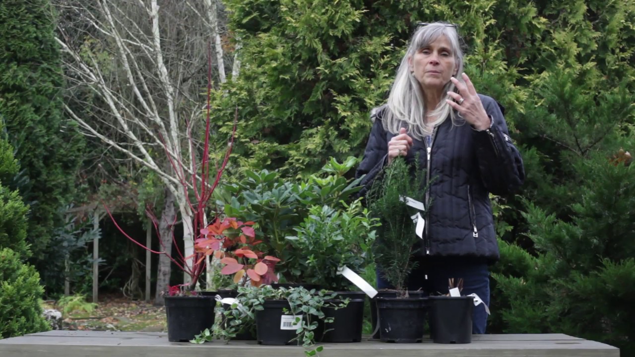 When to plant