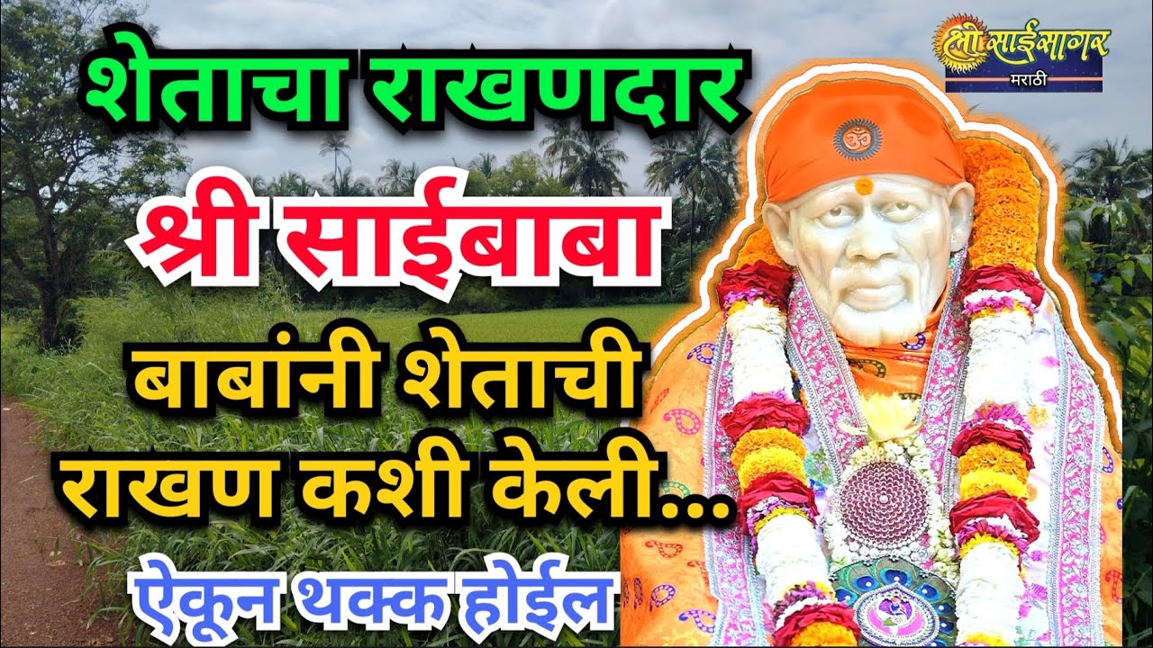 श्री साईबाबा शेताचे राखणदार... बाबांनी कशाप्रकारे शेत राखले... ऐकून थक्क होईल